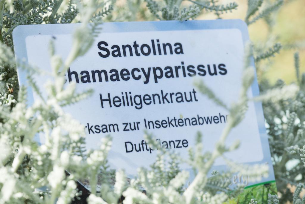 Kraeuterpension Rosenkranz Rangersdorf المظهر الخارجي الصورة