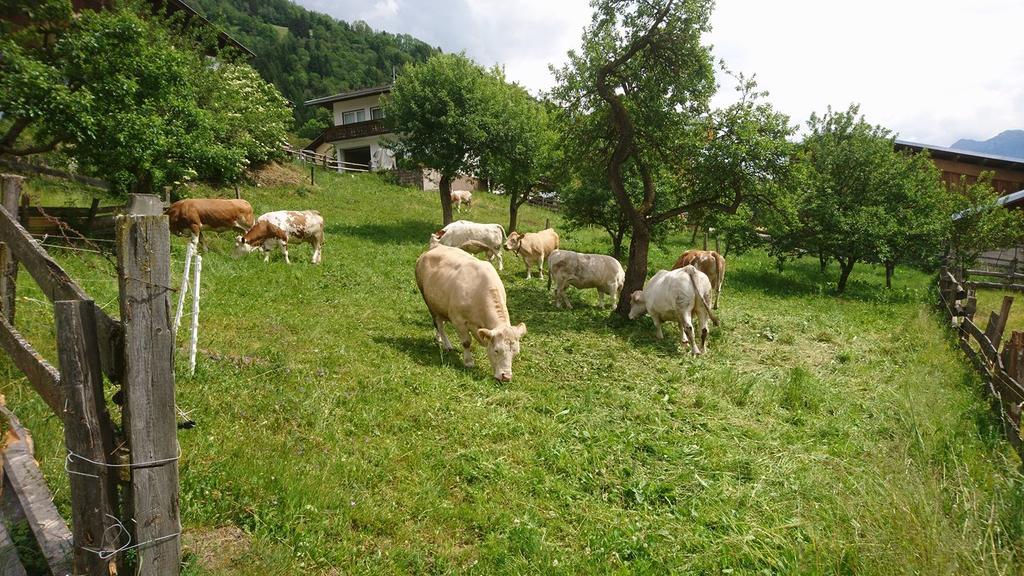 Kraeuterpension Rosenkranz Rangersdorf المظهر الخارجي الصورة